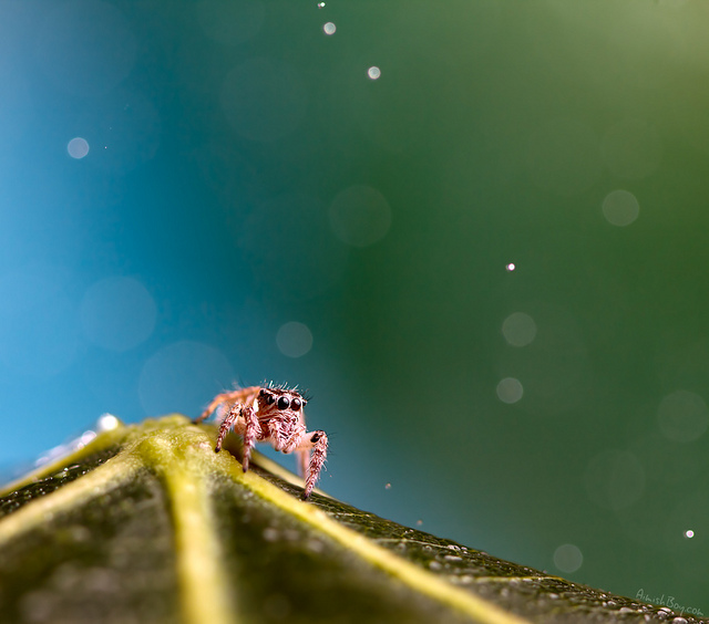 20111227_cec6a093beb09df2feef7Mp2nCmgGk5w.jpg
