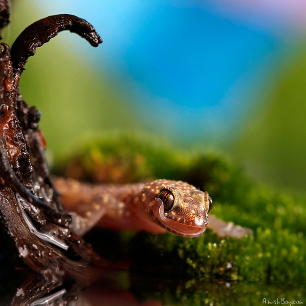 20111227_e7a65f0514d559327ce6QXmnPqenutrO.jpg