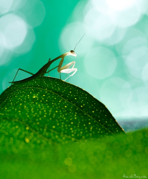 20111227_f5ca7752f713cfc2b1a6BFJJ09dv6dZE.jpg