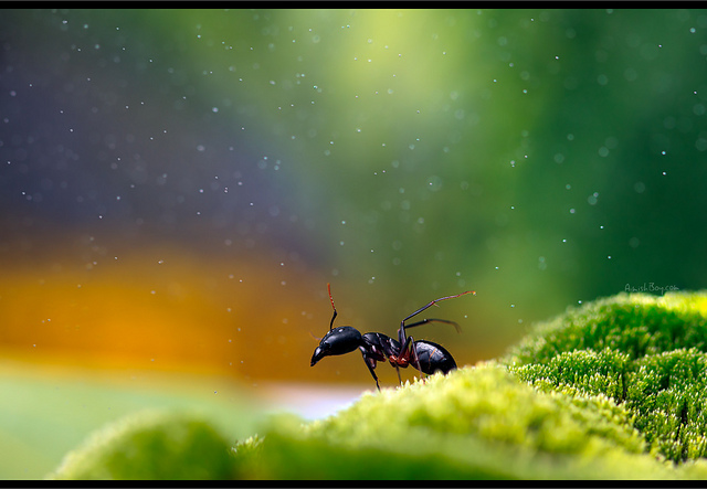 20111227_f0016fb459faf867d852AYbG8X9p6HME.jpg