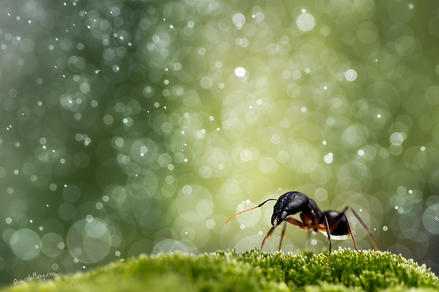 20111227_fe4cde597713c9c91a65tINsclUCG3Tg.jpg