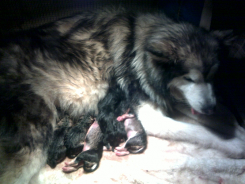 20120103211.jpg