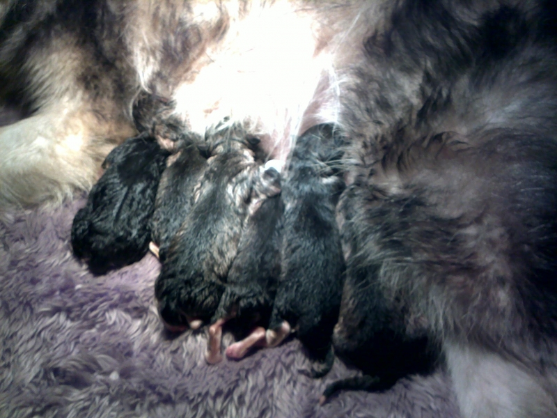 20120103215.jpg