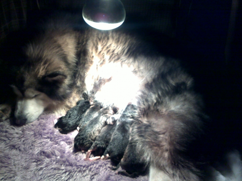 20120103216.jpg