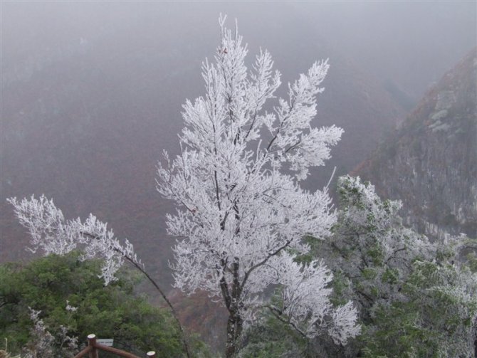 2012乐业大石围天坑第一场雪花飞舞