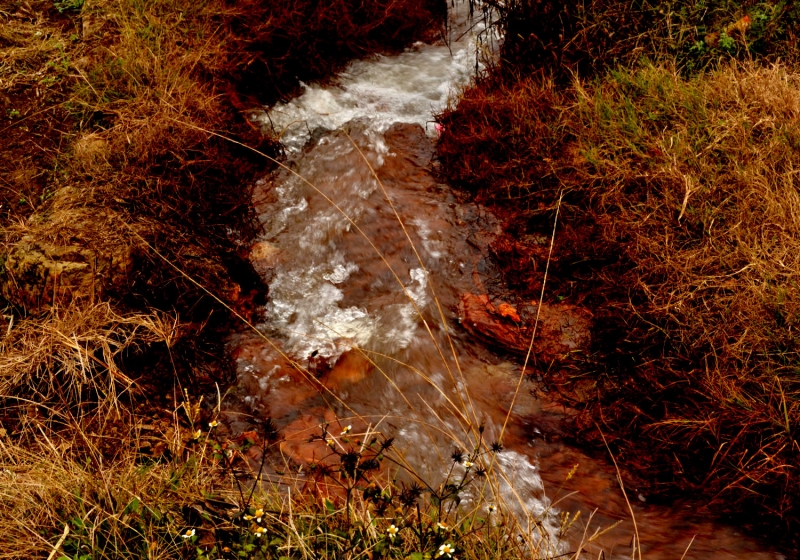 DSC_0023.JPG