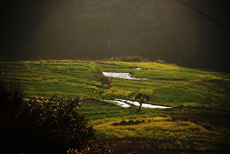 DSC_0892.jpg