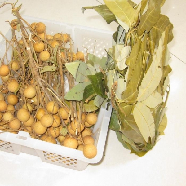 2012ںװˮеҶ3.jpg