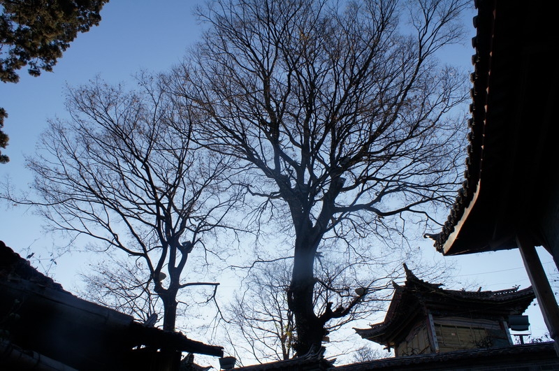 DSC03964.JPG