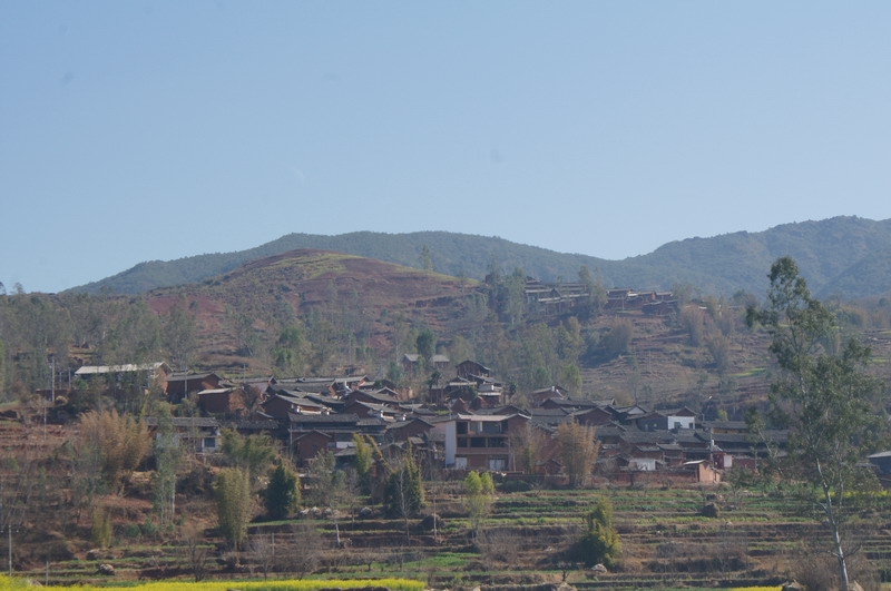 DSC04308.JPG