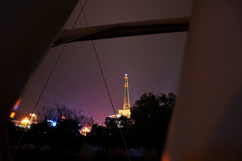 DSC_7934_conew1.jpg