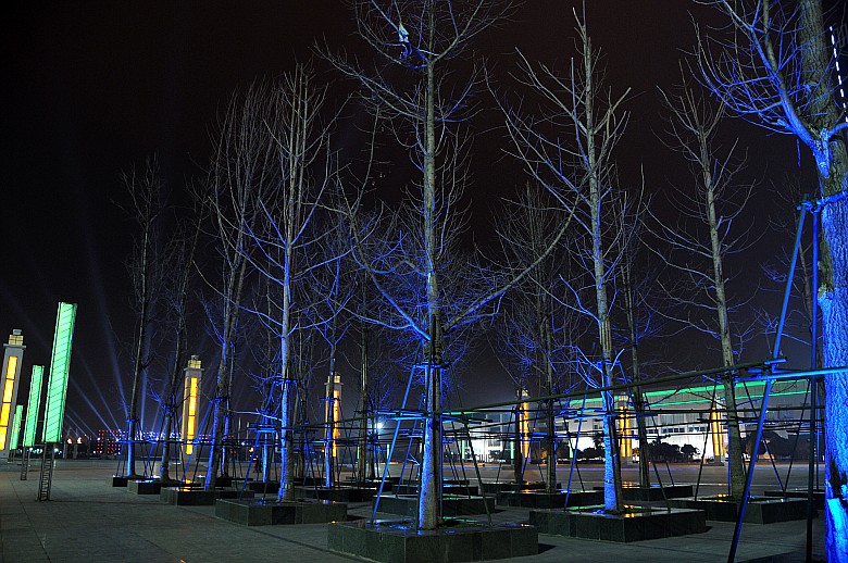 DSC_7929_conew1.jpg