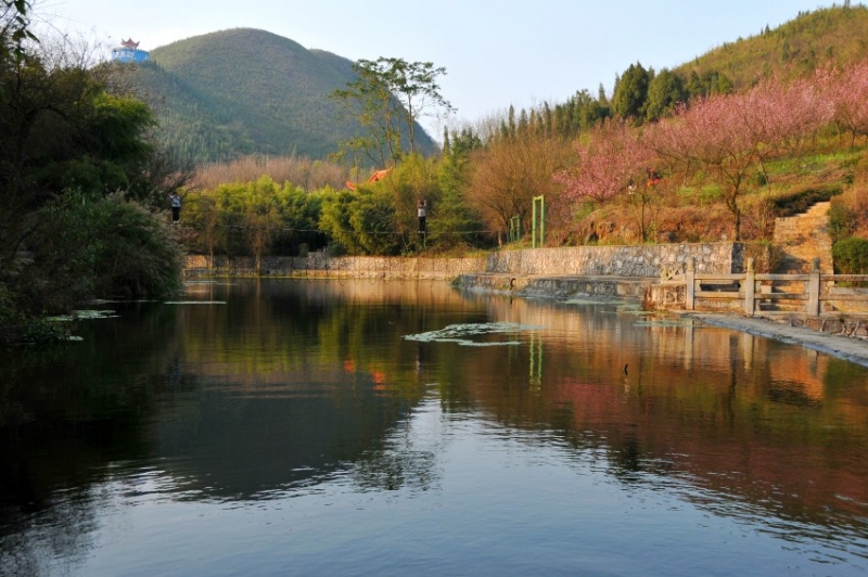 DSC_8659_conew1.jpg