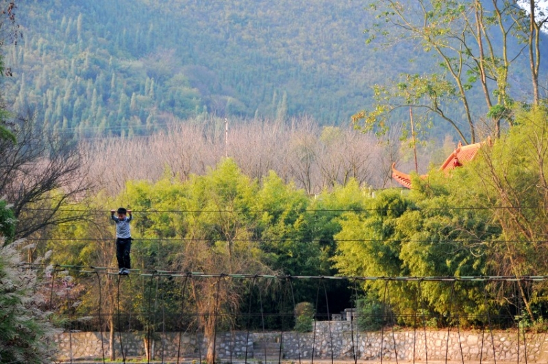 DSC_8665_conew1.jpg