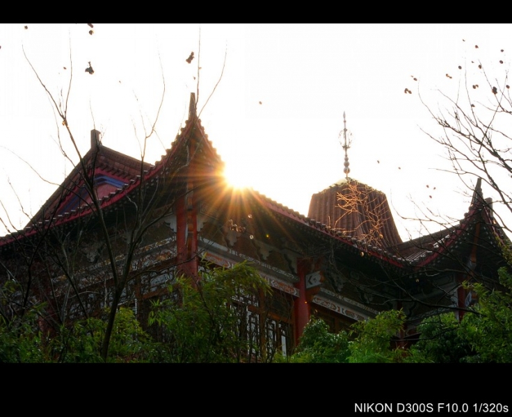 DSC_8641_conew1.jpg