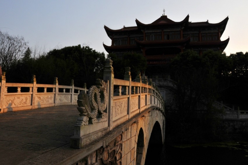 DSC_8723_conew2.jpg
