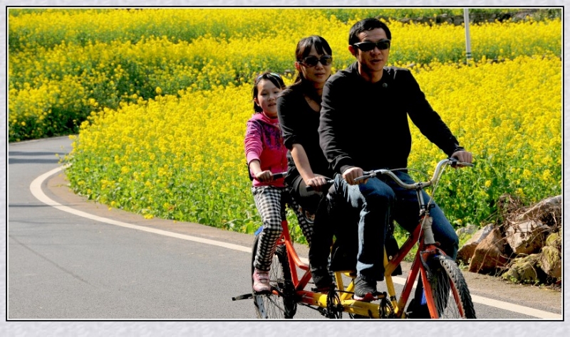 DSC_8796_conew1.jpg