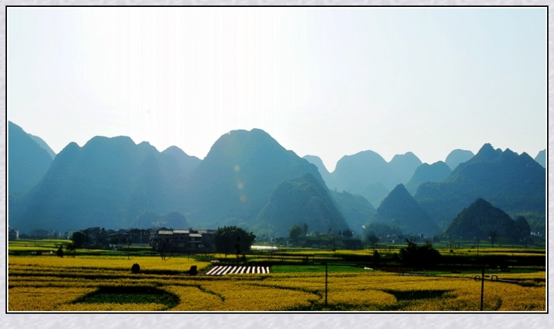 DSC_8883_conew1.jpg
