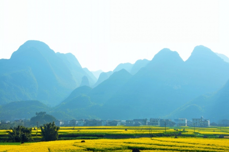 DSC_8887_conew1.jpg