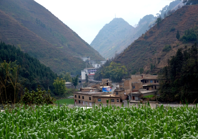 DSC_0102.JPG