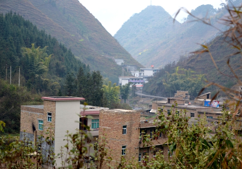 DSC_0105.JPG