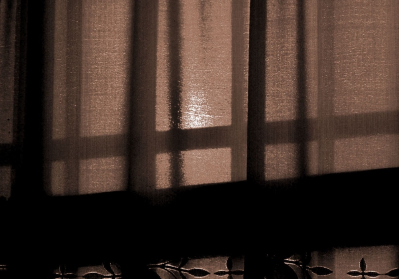 DSC_0175.JPG