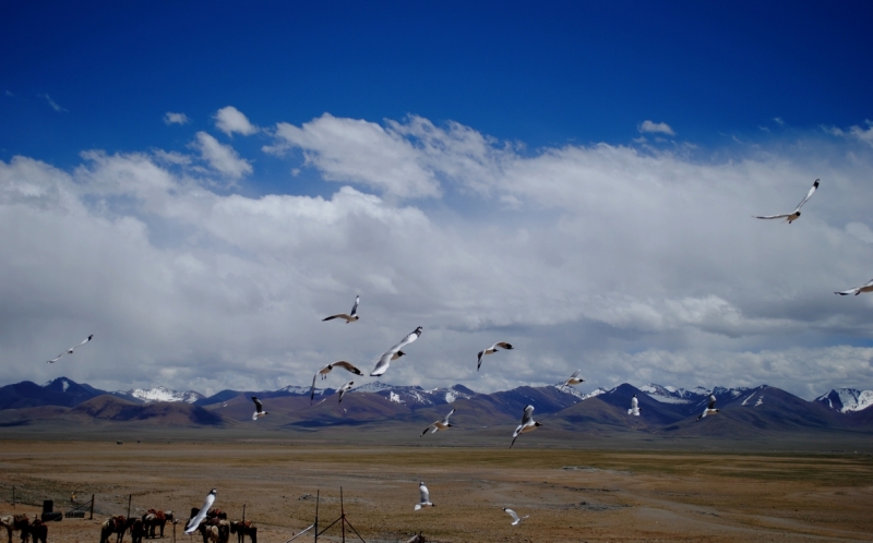 DSC_0157.JPG