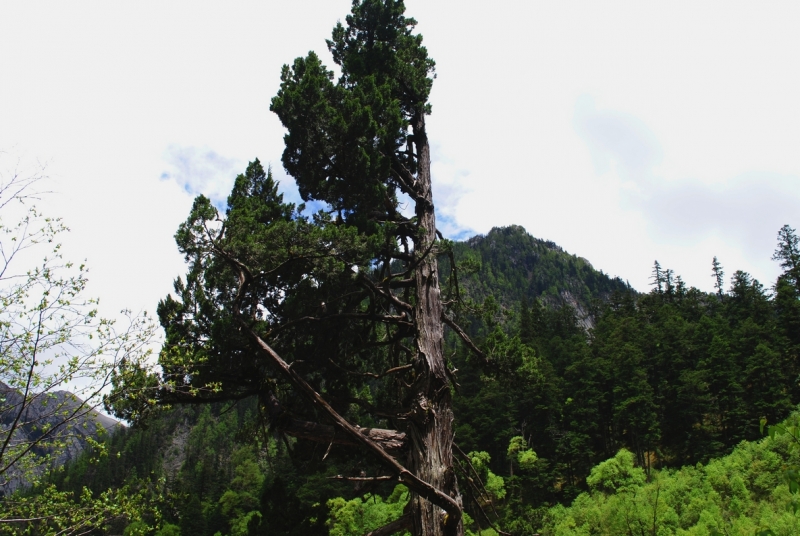 DSC_0430.JPG
