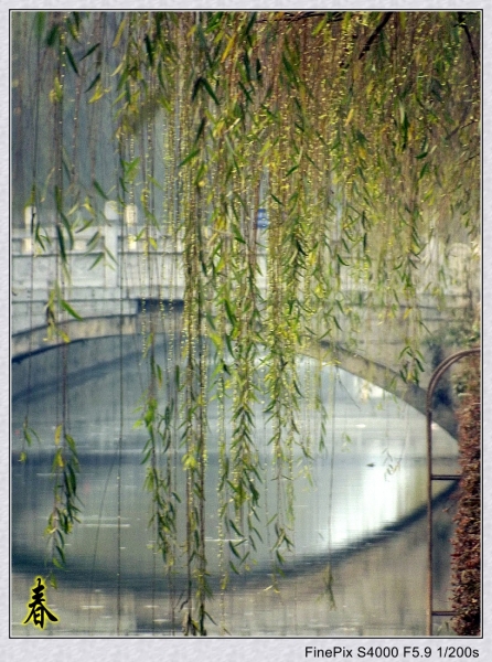 DSCF1369_conew1.jpg