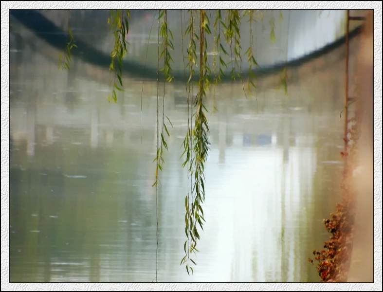 DSCF1377_conew1.jpg