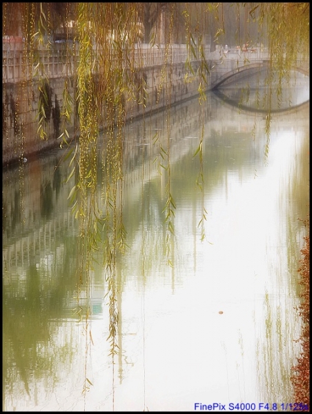 DSCF1363_conew1.jpg