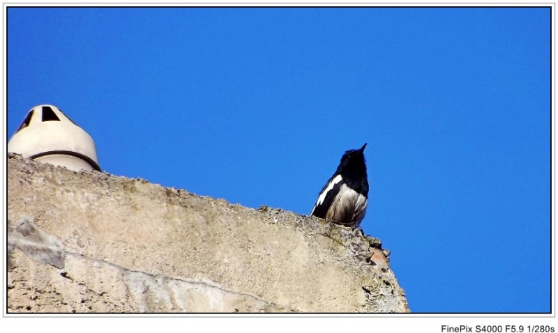 DSCF1720_conew1.jpg