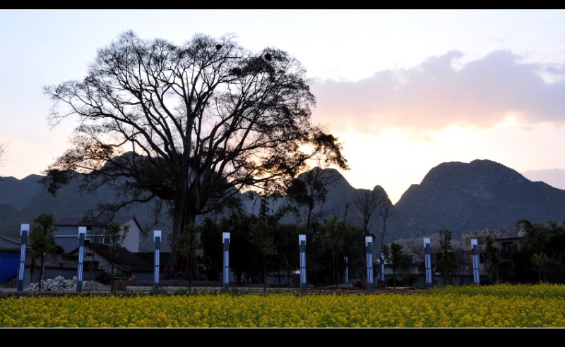 DSC_9866_conew1.jpg