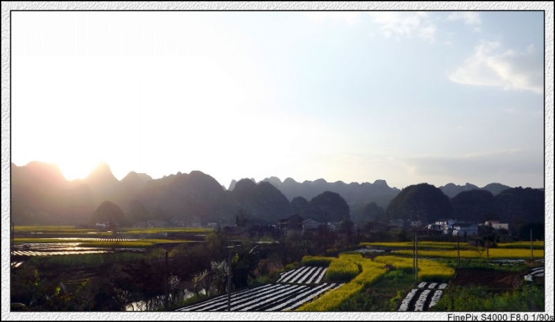DSCF2127_conew1.jpg