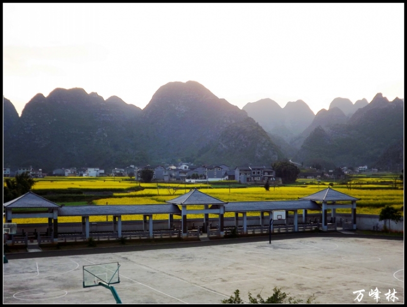 DSCF2148_conew1.jpg