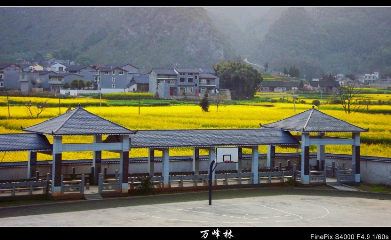 DSCF2150_conew1.jpg