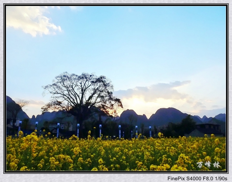 DSCF2157_conew1.jpg
