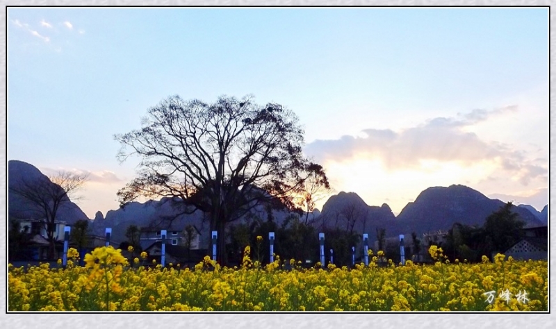 DSCF2158_conew1.jpg