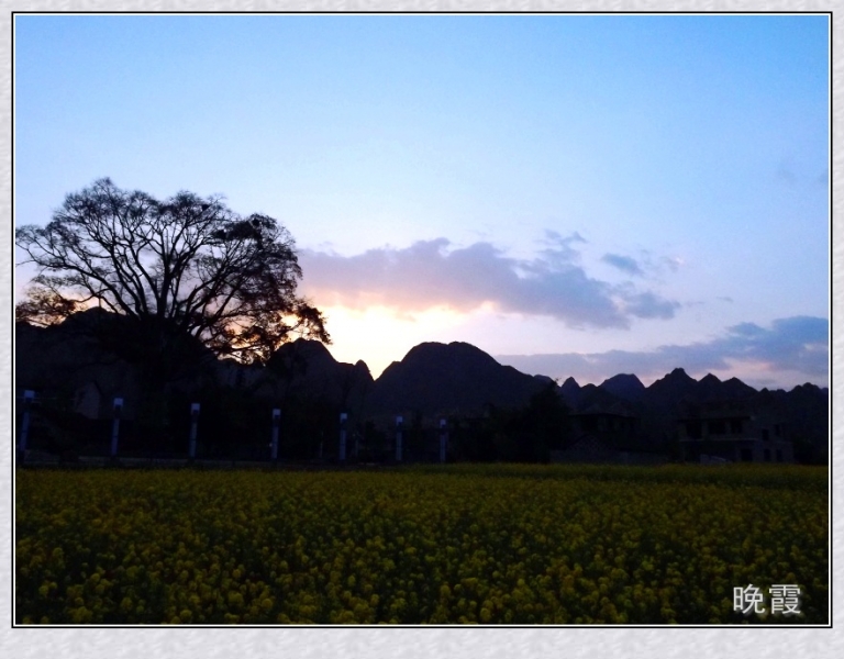DSCF2180_conew1.jpg