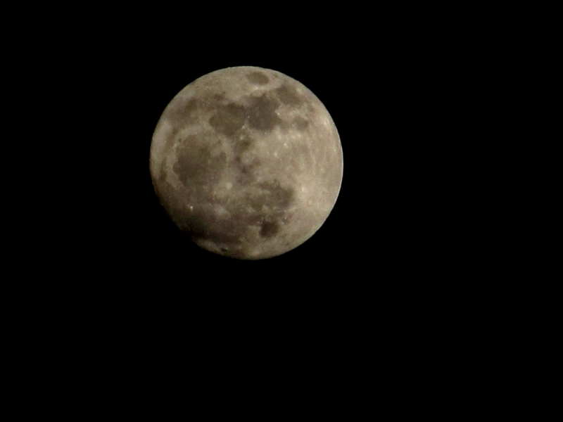 IMG_0374_.jpg