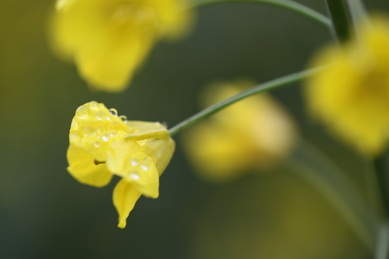 ƽ2012.3.10-11Ƭ 654.jpg