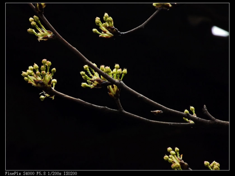 DSCF2839.jpg