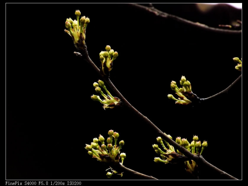 DSCF2840.jpg