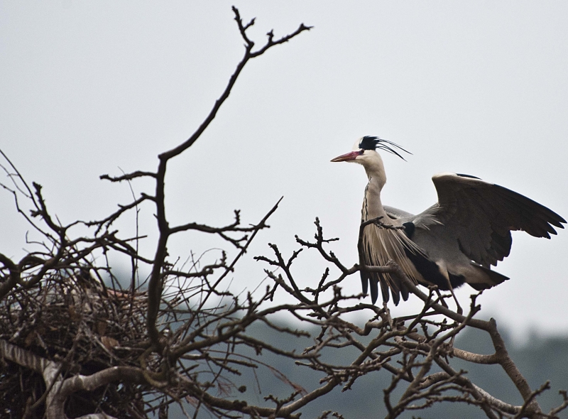 _DSC6500.jpg