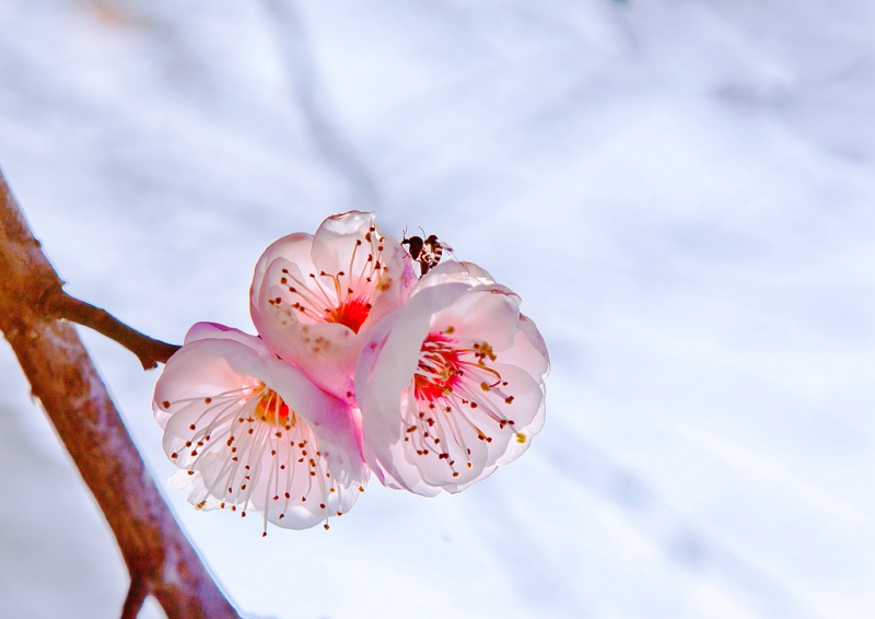 _MG_1637a.jpg
