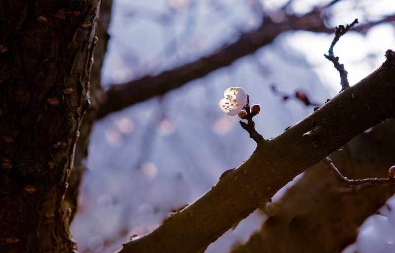 _MG_1664.jpg
