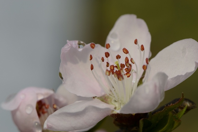 _DSC4564.jpg