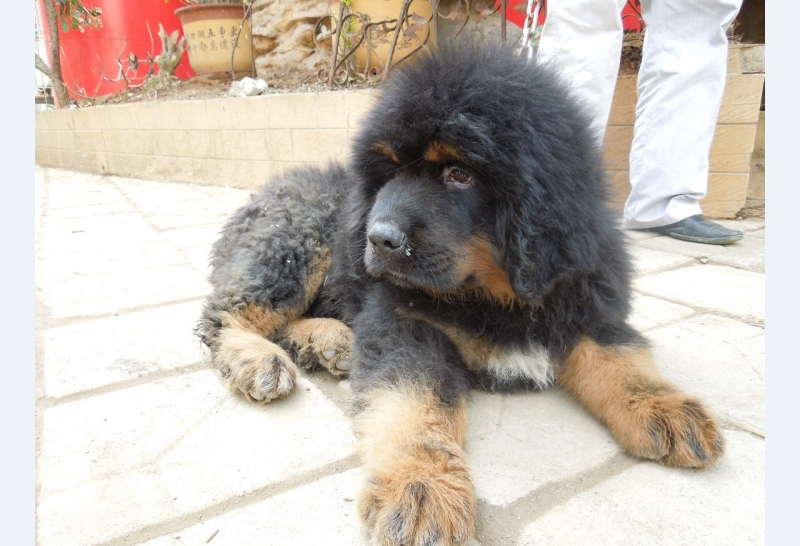 DSCN0618.JPG