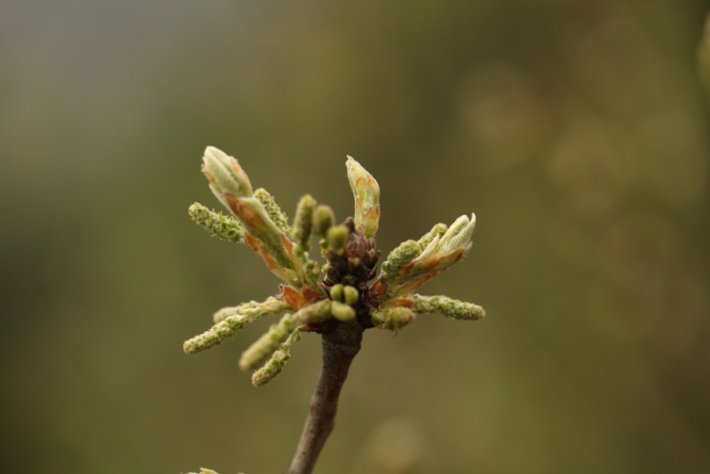 2012.04.05-7 165.jpg