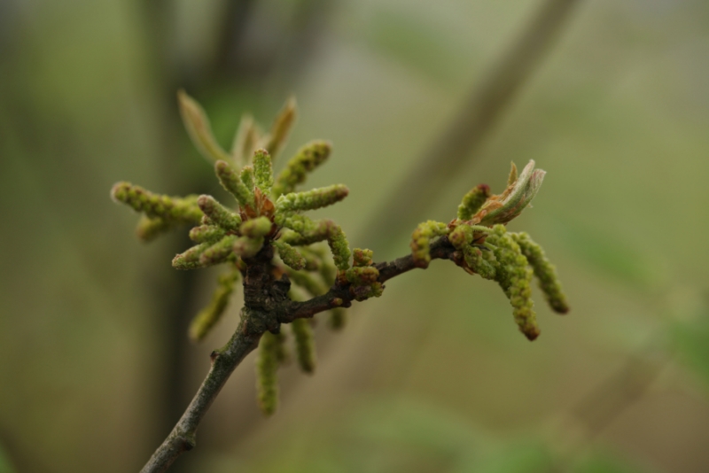 2012.04.05-7 171.jpg